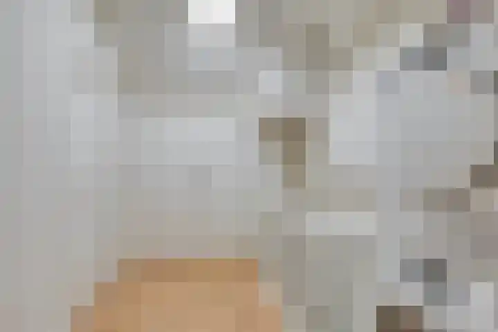 Heidekruid 12 Rotterdam thumbnail 48