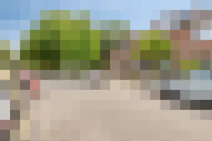 Heidekruid 12 Rotterdam thumbnail 5