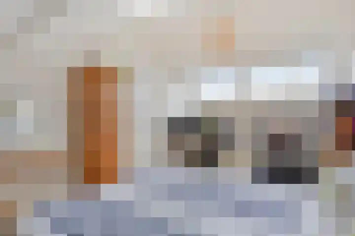Heidekruid 12 Rotterdam thumbnail 50