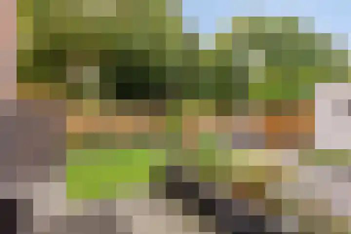 Heidekruid 12 Rotterdam thumbnail 53
