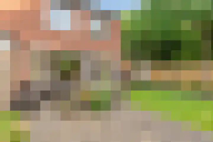 Heidekruid 12 Rotterdam thumbnail 54