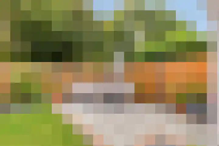Heidekruid 12 Rotterdam thumbnail 55