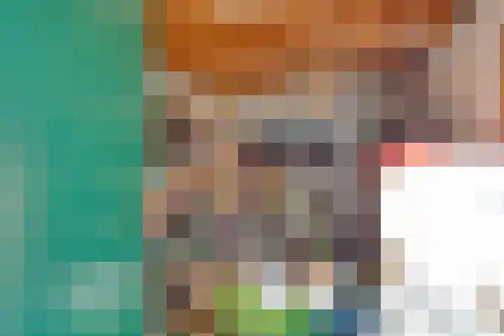 Heidekruid 12 Rotterdam thumbnail 56