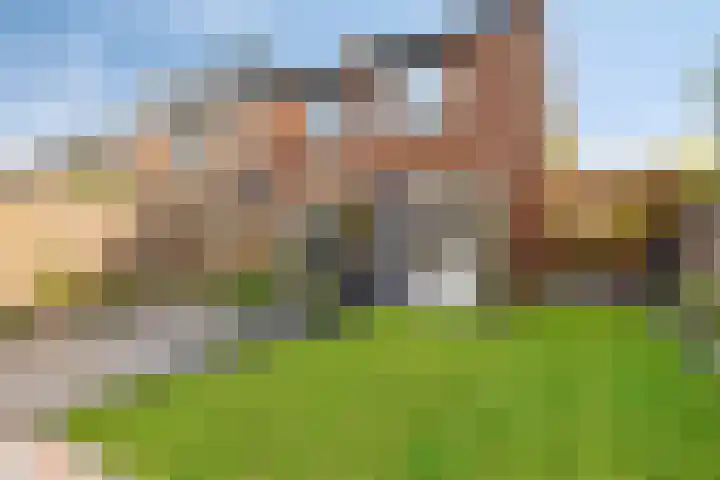 Heidekruid 12 Rotterdam thumbnail 57