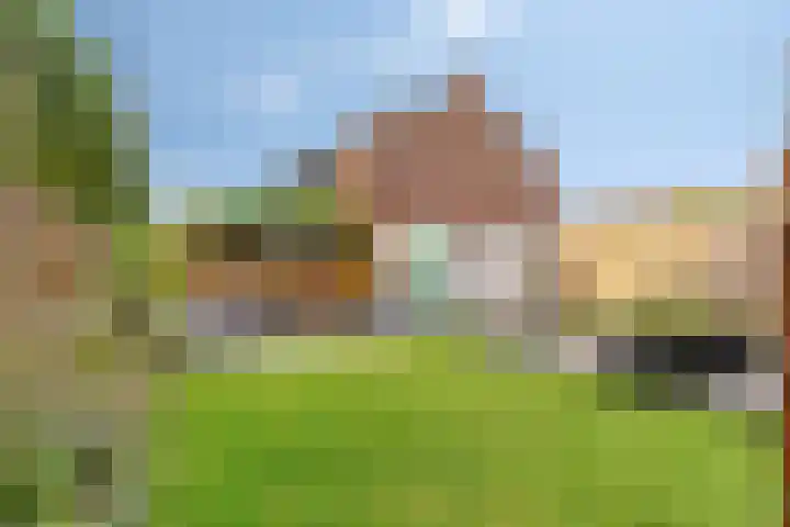 Heidekruid 12 Rotterdam thumbnail 58