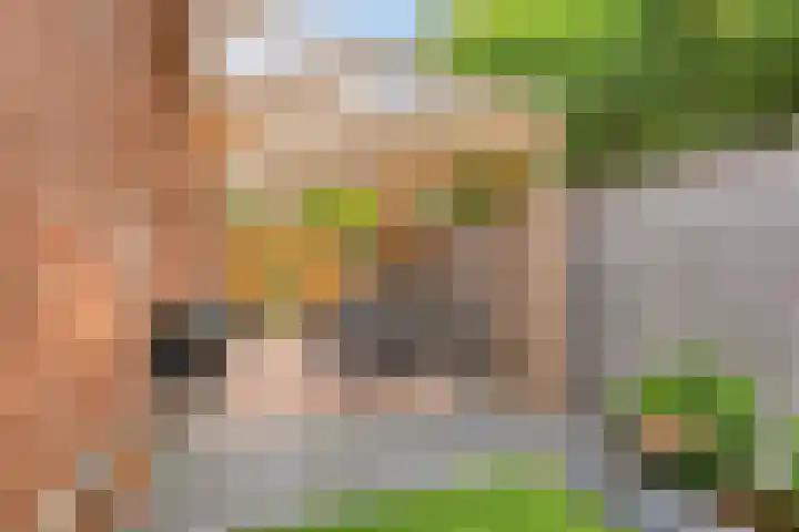Heidekruid 12 Rotterdam thumbnail 59
