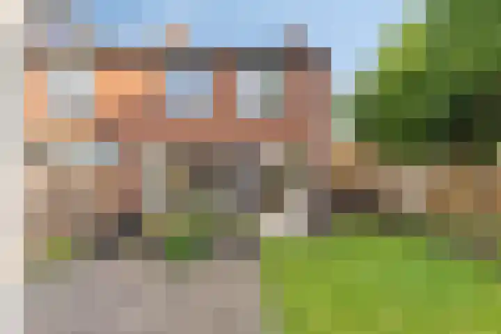 Heidekruid 12 Rotterdam thumbnail 60