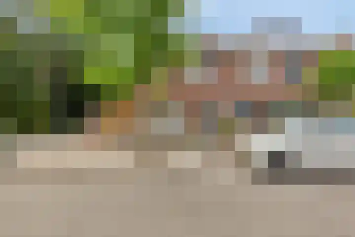Heidekruid 12 Rotterdam thumbnail 68