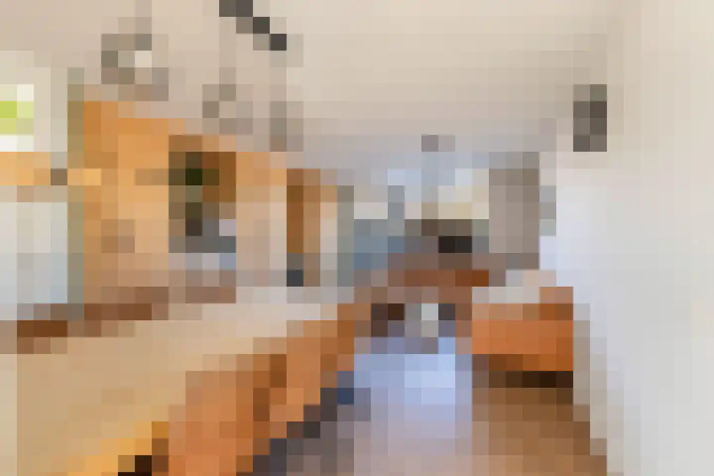 Heidekruid 2 Krimpen aan den IJssel thumbnail 12