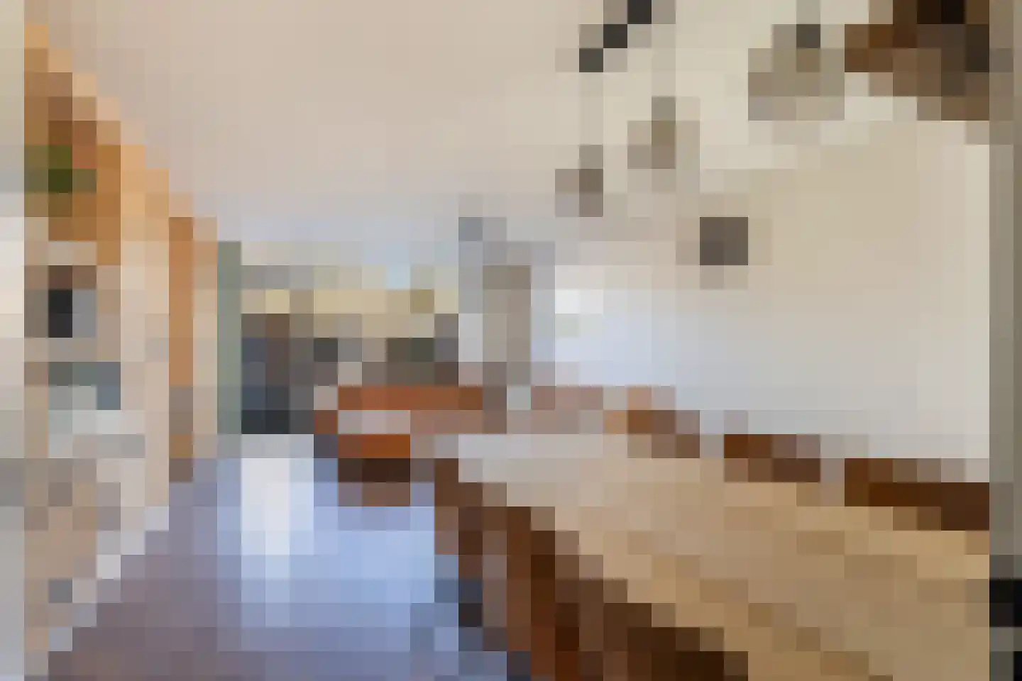 Heidekruid 2 Krimpen aan den IJssel thumbnail 13