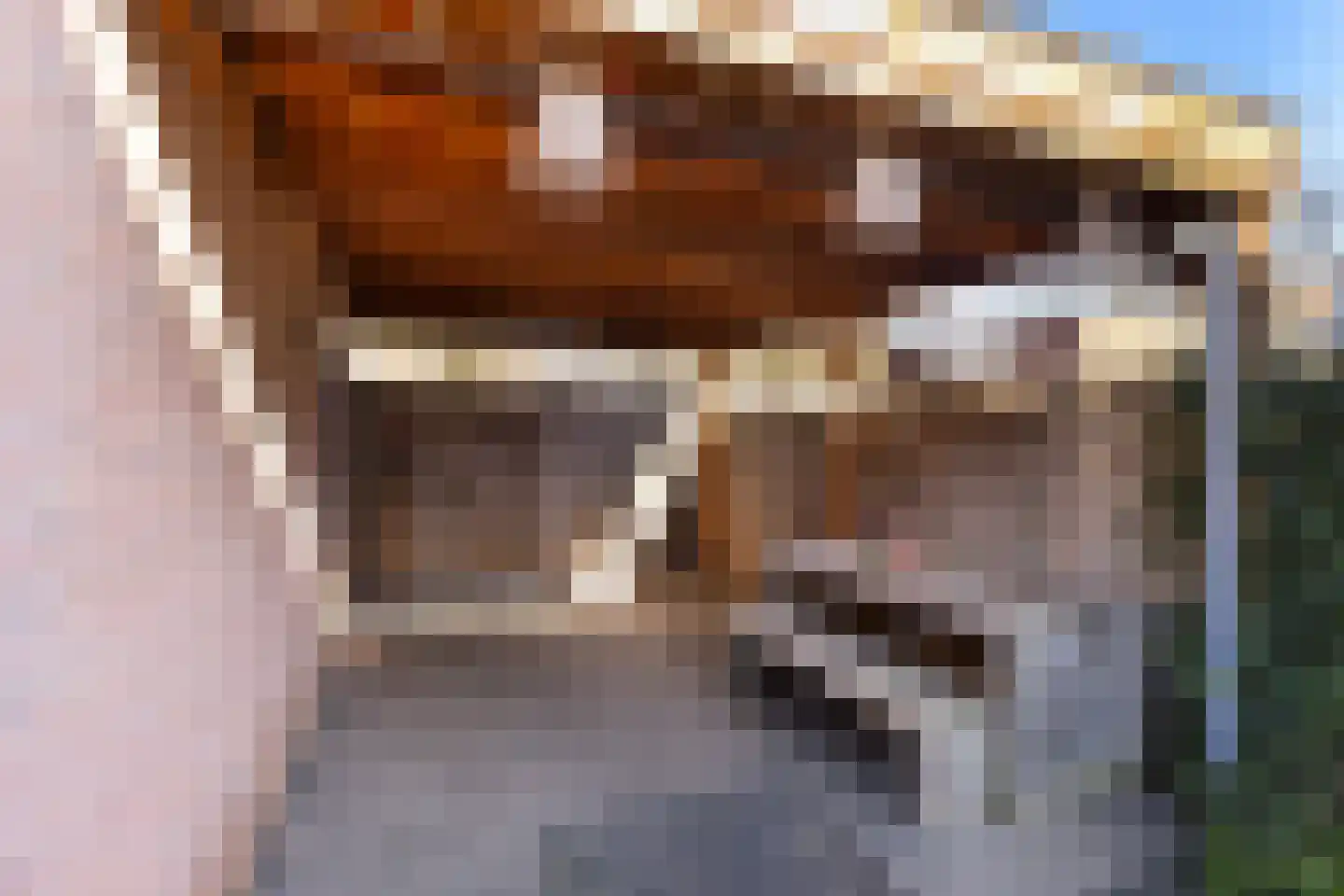 Heidekruid 2 Krimpen aan den IJssel thumbnail 15