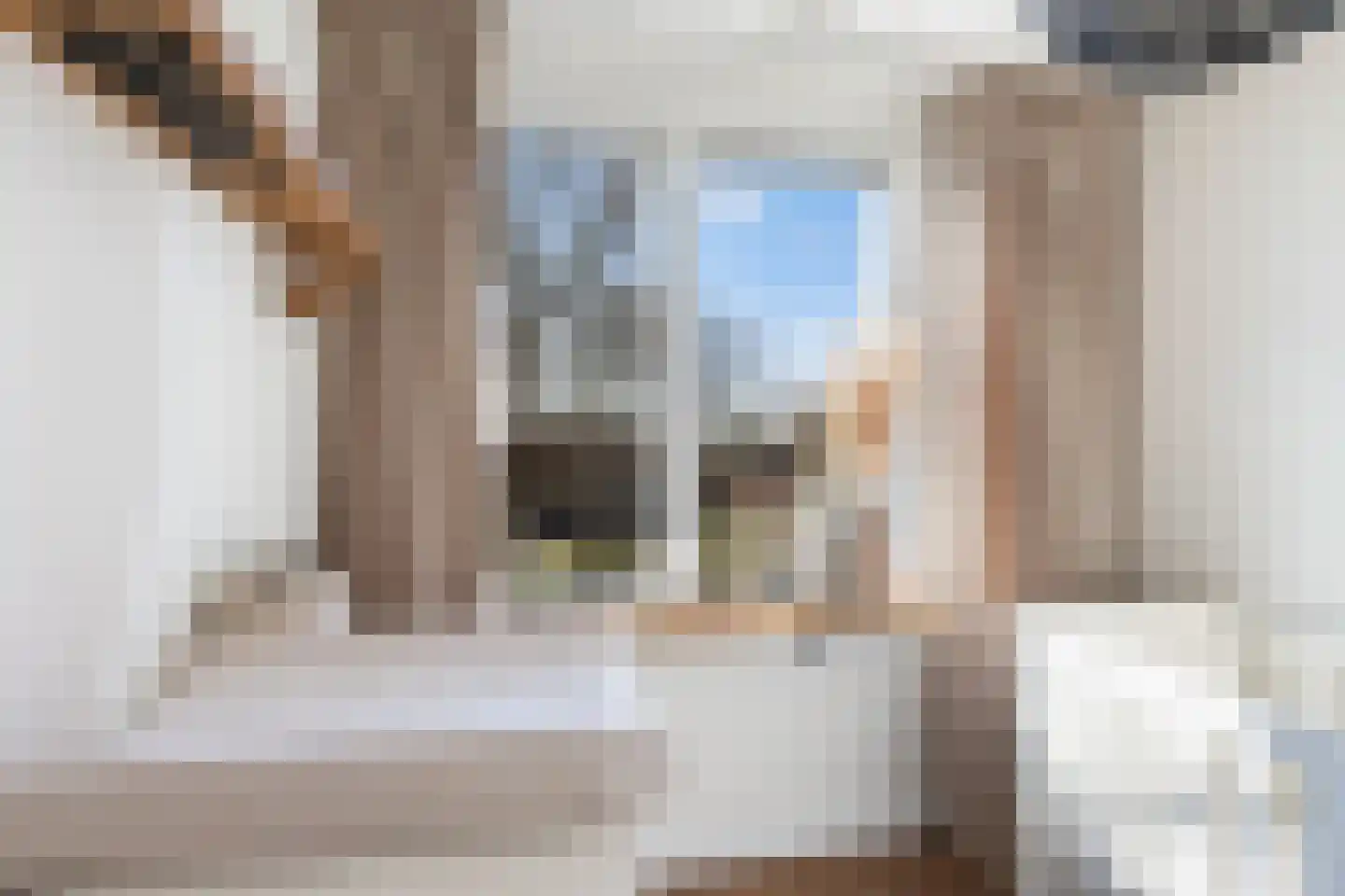 Heidekruid 2 Krimpen aan den IJssel thumbnail 31