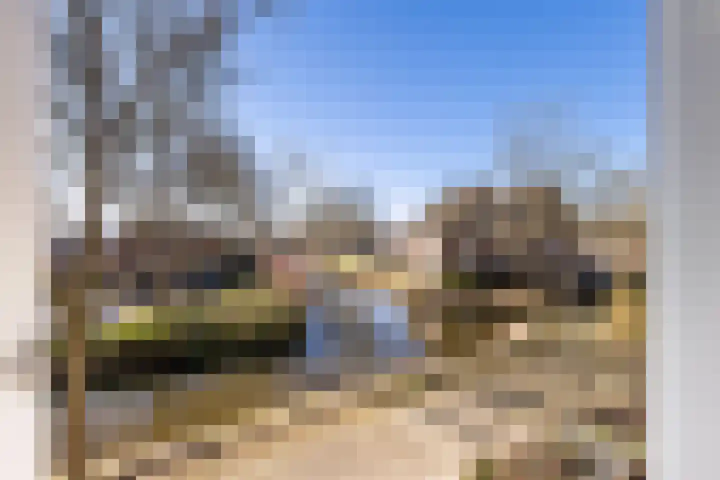Heidekruid 2 Krimpen aan den IJssel thumbnail 32