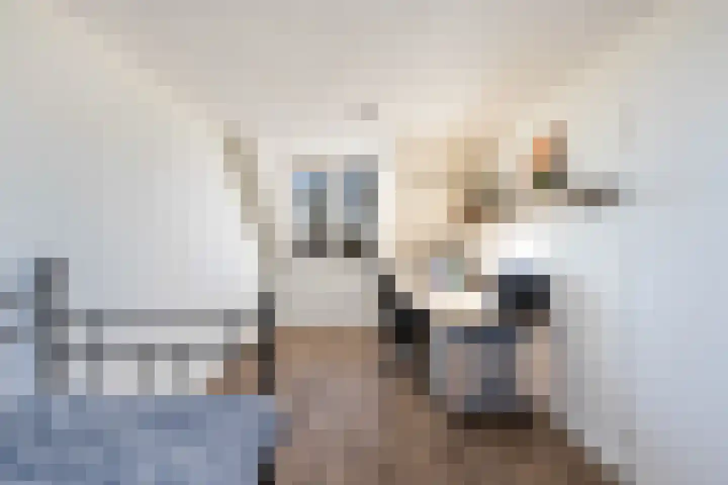 Heidekruid 2 Krimpen aan den IJssel thumbnail 38