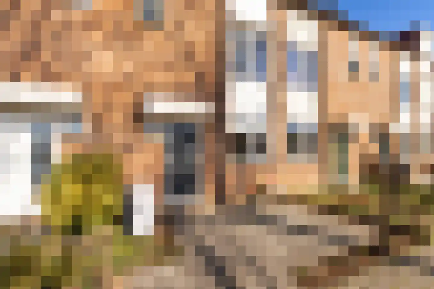Heidekruid 2 Krimpen aan den IJssel thumbnail 41