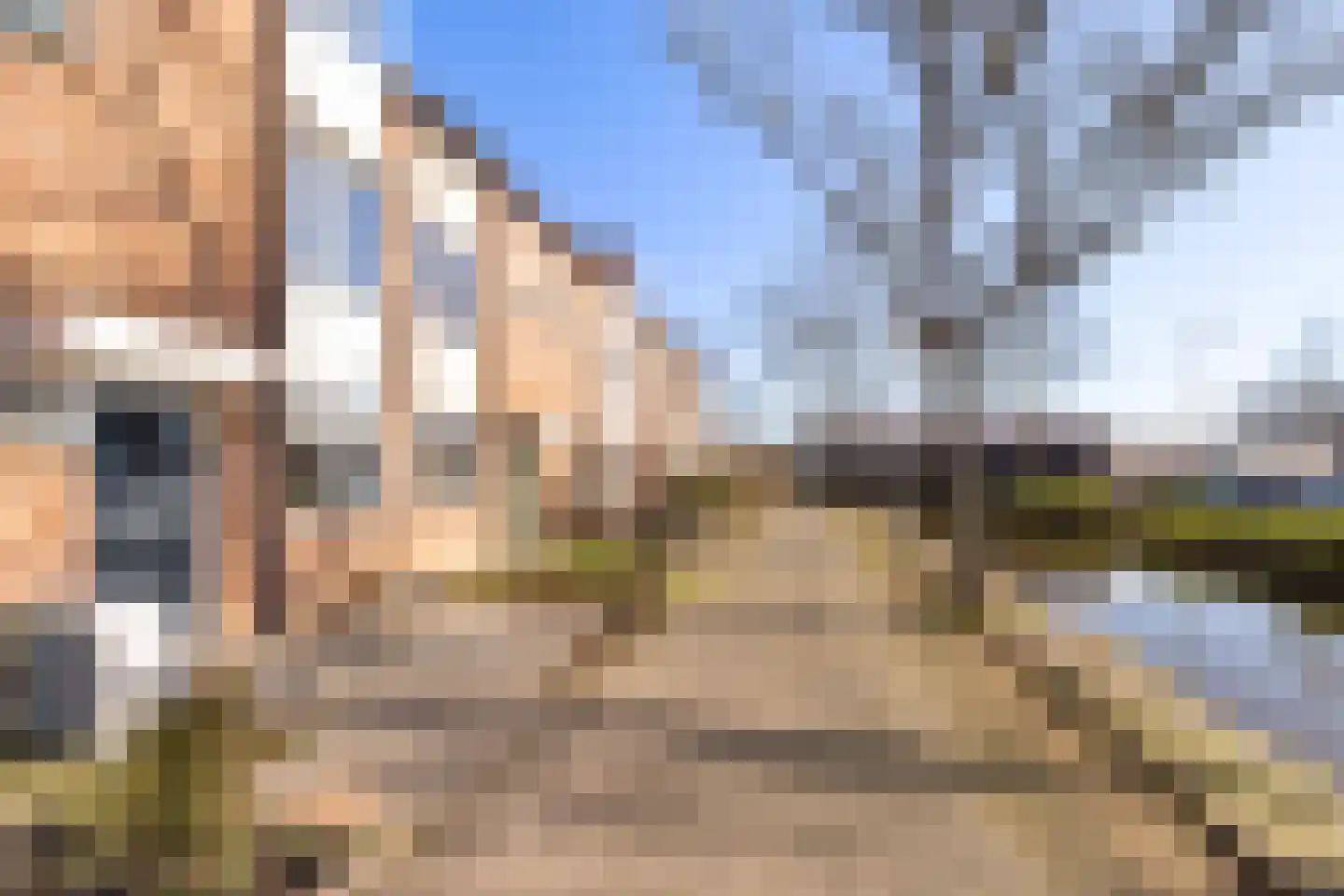 Heidekruid 2 Krimpen aan den IJssel thumbnail 43