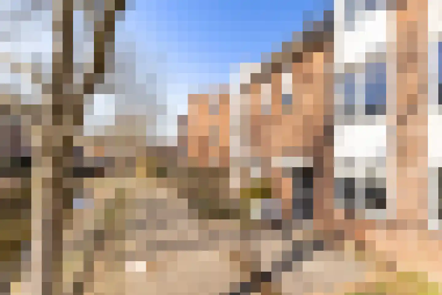 Heidekruid 2 Krimpen aan den IJssel thumbnail 44