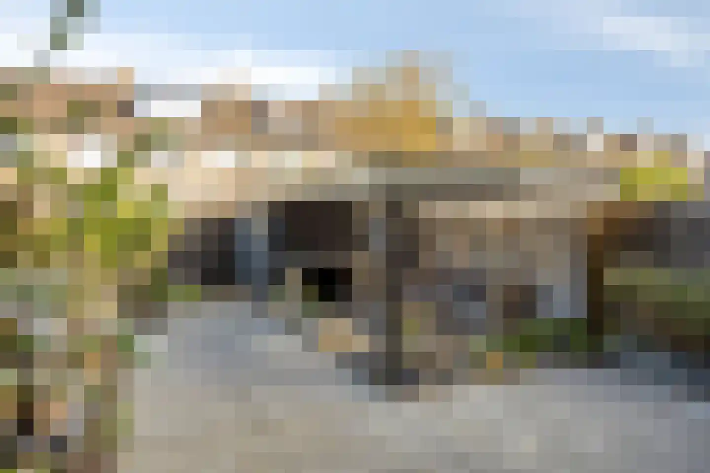 Heidekruid 25 Rotterdam thumbnail 36