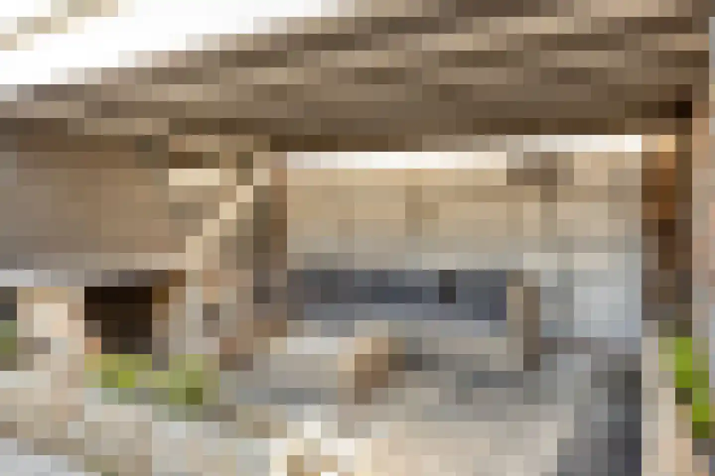 Heidekruid 25 Rotterdam thumbnail 38
