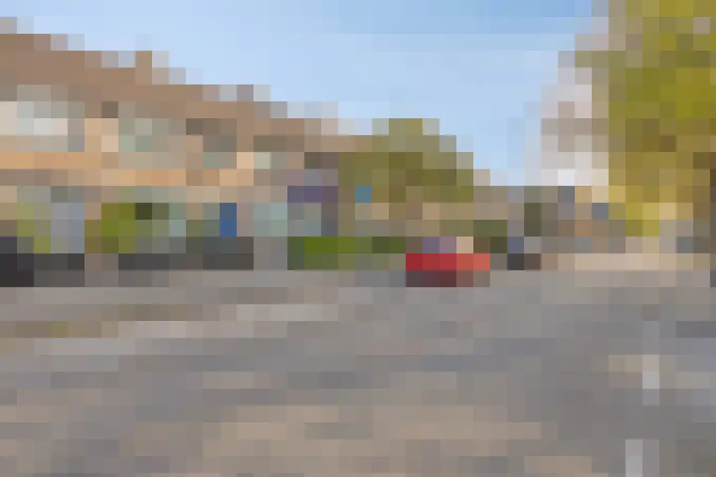 Heidekruid 25 Rotterdam thumbnail 4