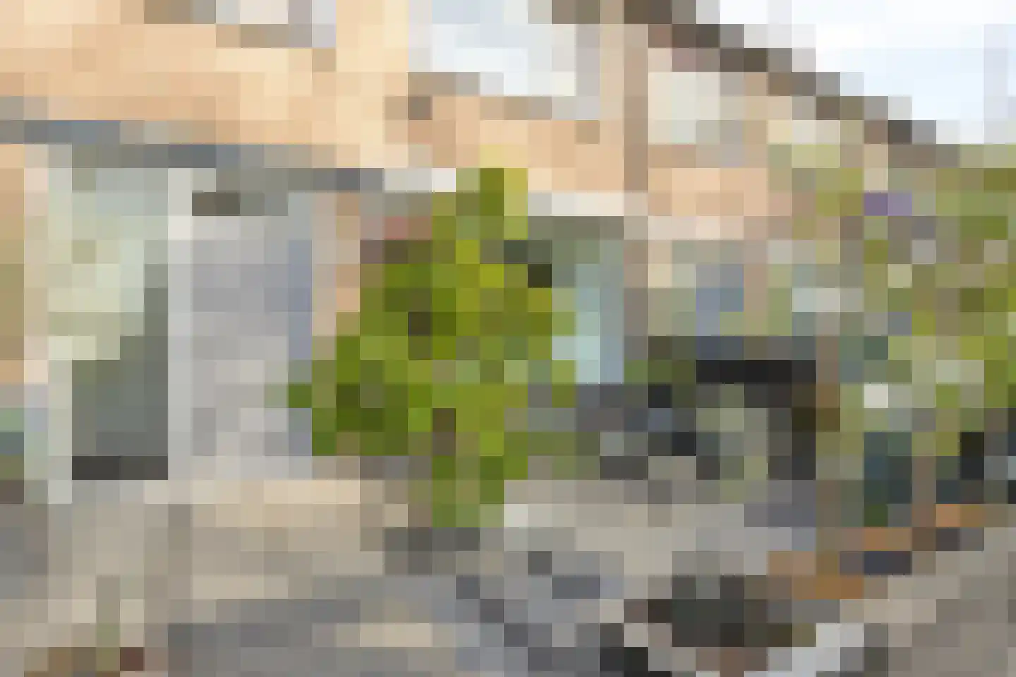 Heidekruid 25 Rotterdam thumbnail 6