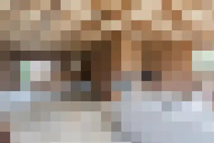 Heidekruid 48 Rotterdam thumbnail 25