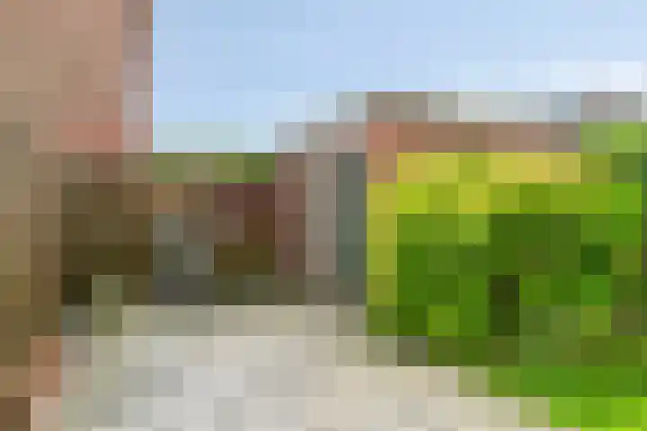 Heidekruid 48 Rotterdam thumbnail 27