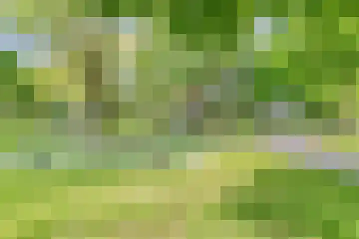 Heidekruid 48 Rotterdam thumbnail 31