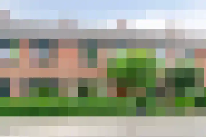 Heidekruid 48 Rotterdam thumbnail 37