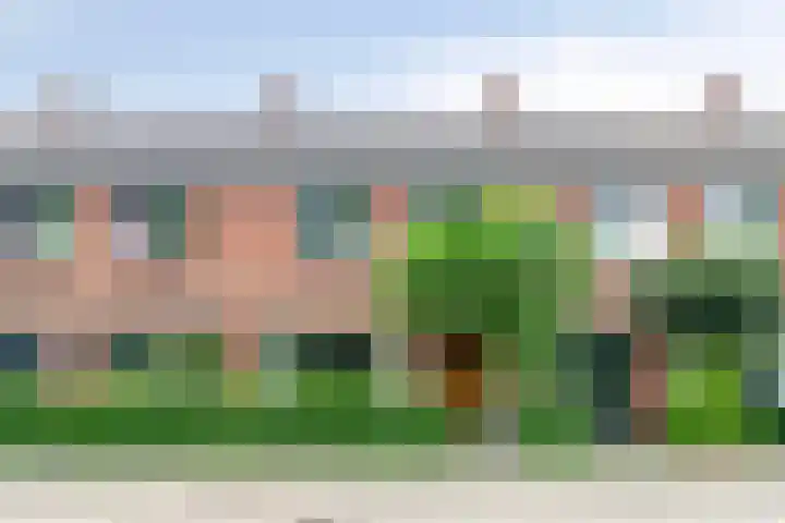 Heidekruid 48 Rotterdam thumbnail 4