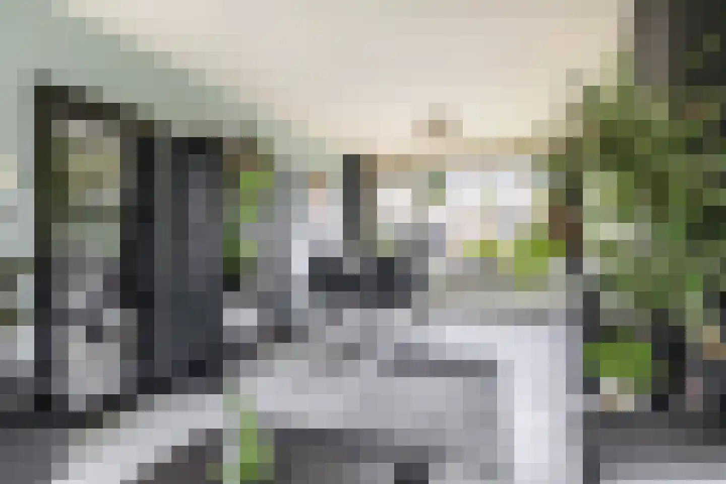 Heidekruid 63 Rotterdam thumbnail 10