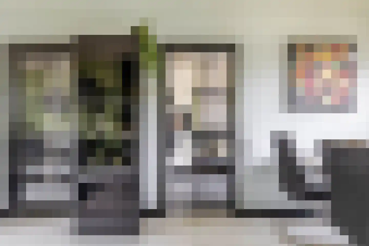 Heidekruid 63 Rotterdam thumbnail 13