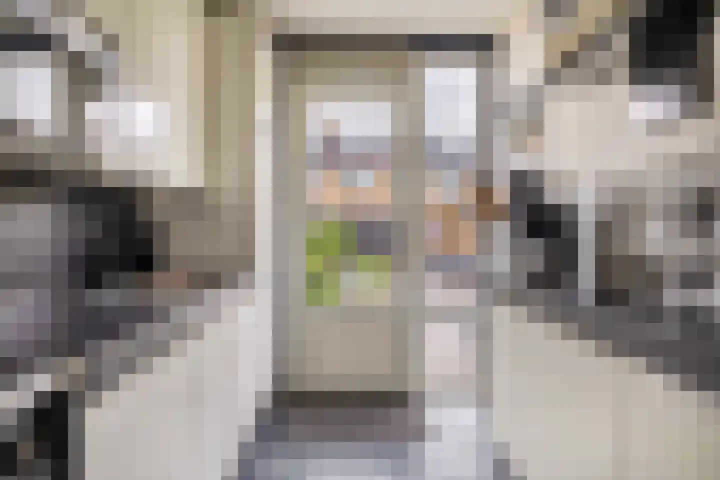 Heidekruid 63 Rotterdam thumbnail 17