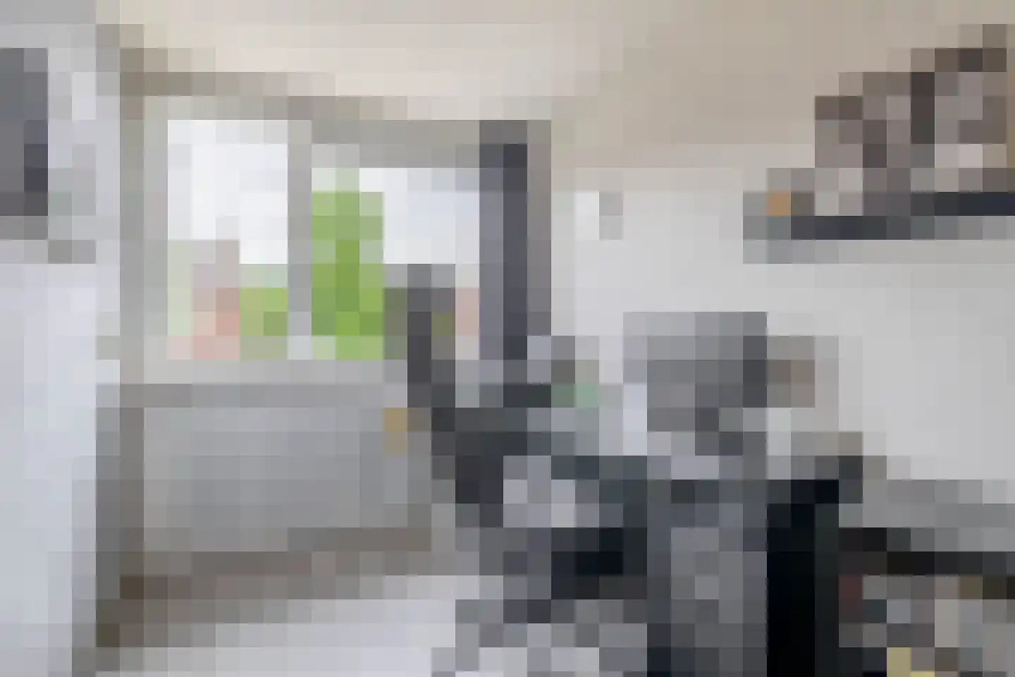 Heidekruid 63 Rotterdam thumbnail 19