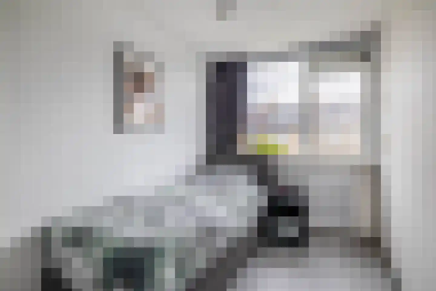 Heidekruid 63 Rotterdam thumbnail 23