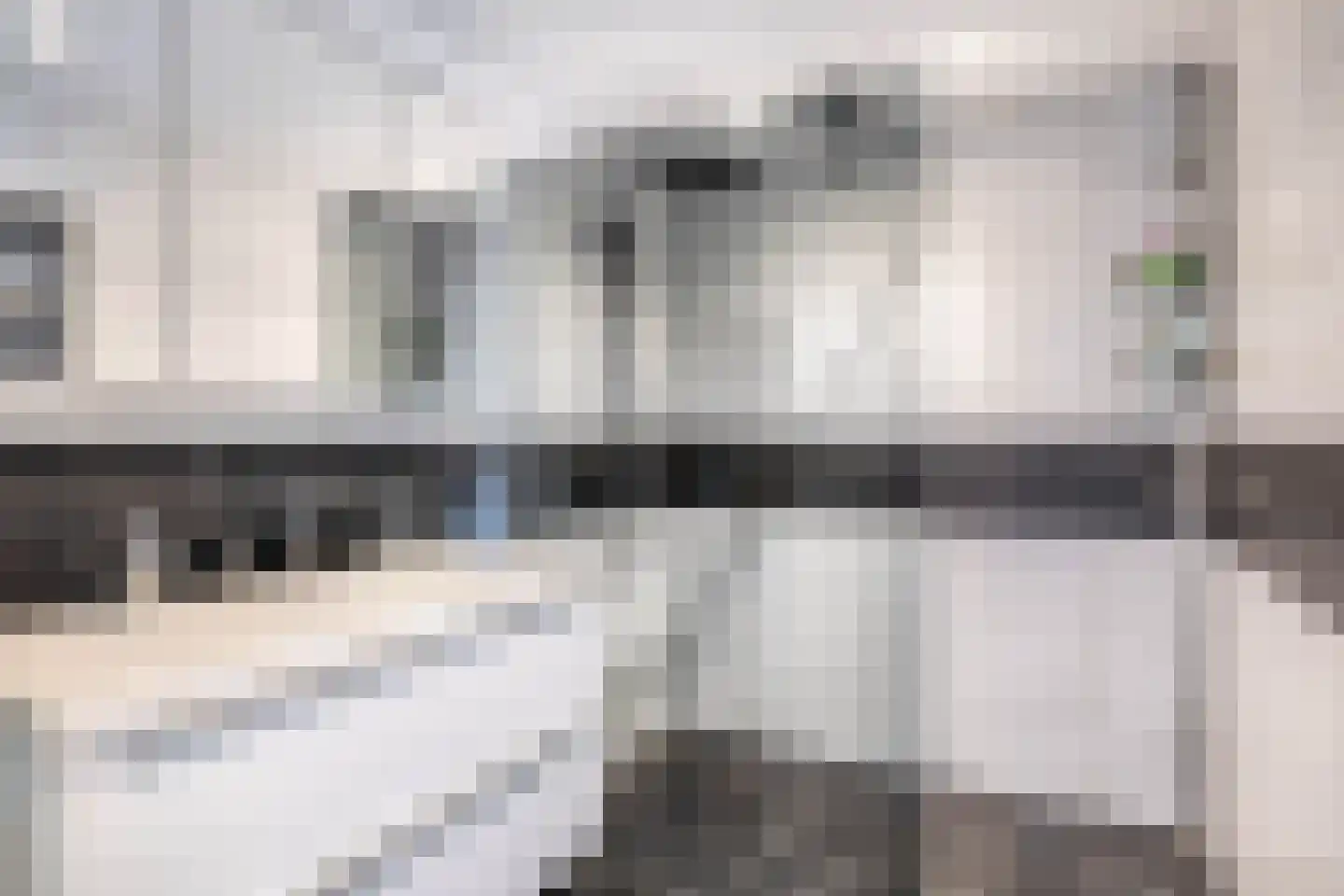 Heidekruid 63 Rotterdam thumbnail 25