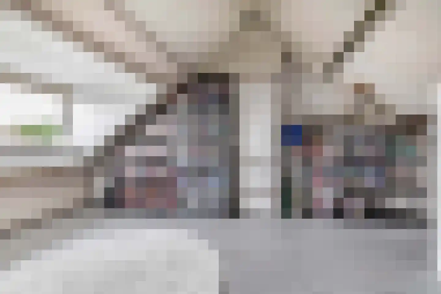 Heidekruid 63 Rotterdam thumbnail 28