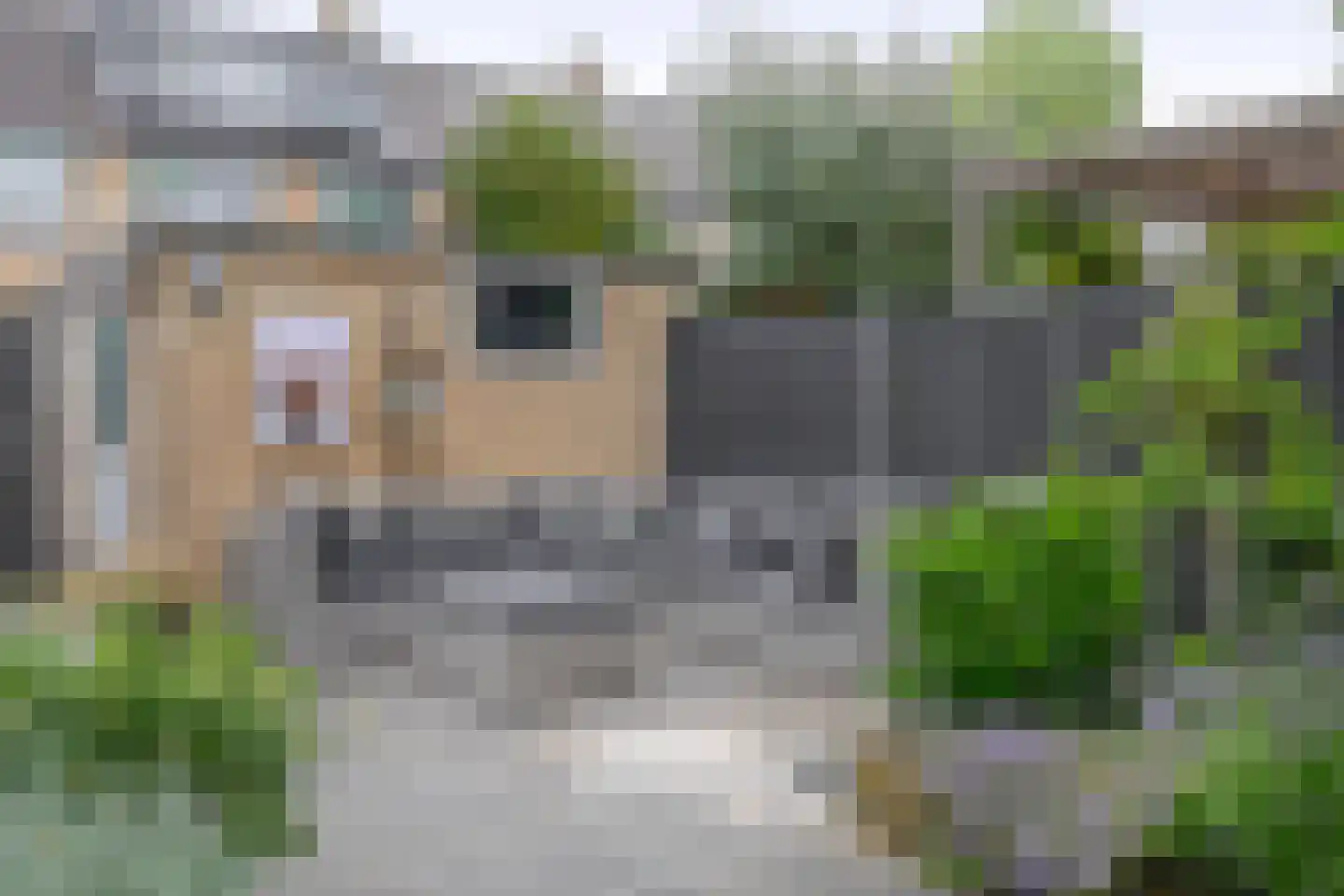 Heidekruid 63 Rotterdam thumbnail 30