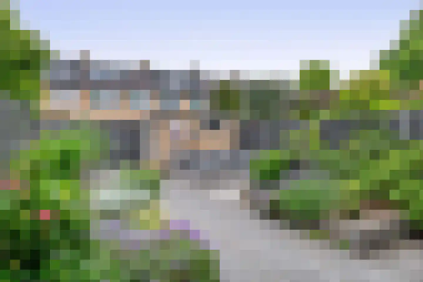 Heidekruid 63 Rotterdam thumbnail 31