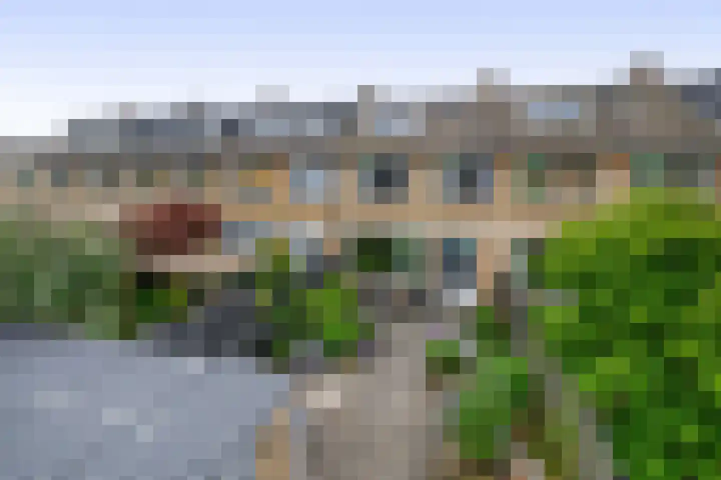 Heidekruid 63 Rotterdam thumbnail 35