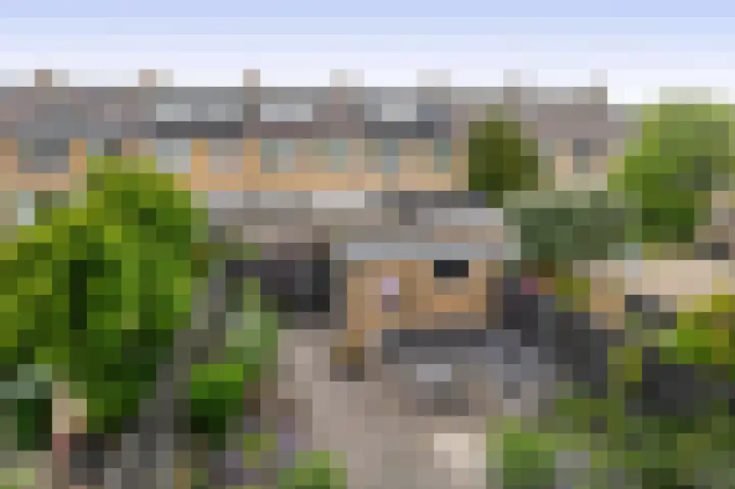 Heidekruid 63 Rotterdam thumbnail 36