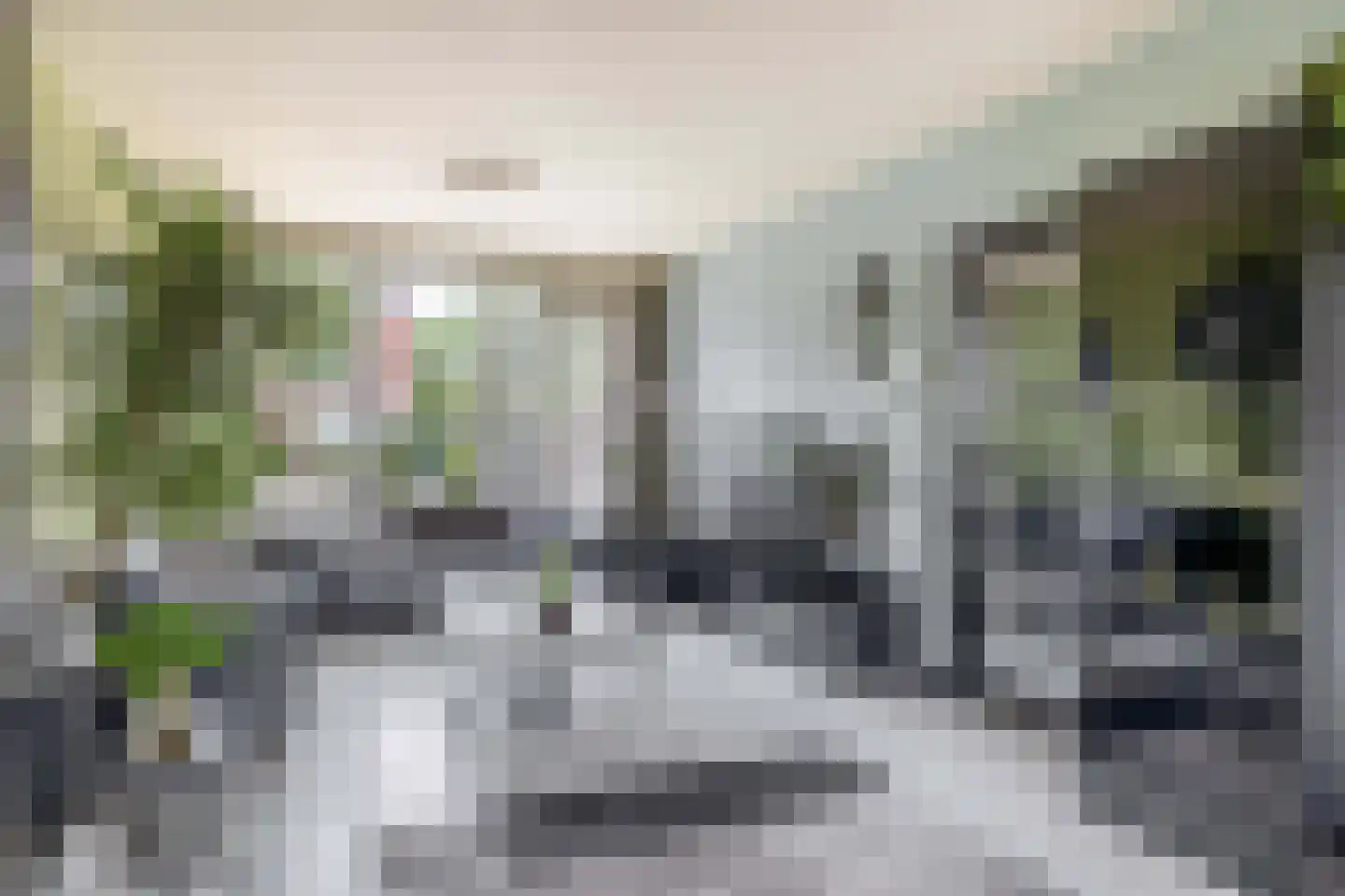 Heidekruid 63 Rotterdam thumbnail 7