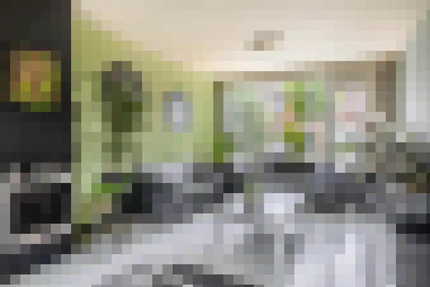 Heidekruid 63 Rotterdam thumbnail 8