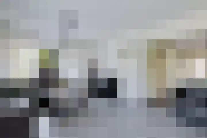 Heidelaan 4 Emmen thumbnail 10