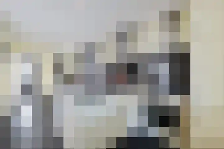 Heidelaan 4 Emmen thumbnail 11