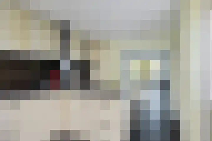 Heidelaan 4 Emmen thumbnail 12