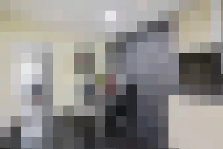 Heidelaan 4 Emmen thumbnail 13