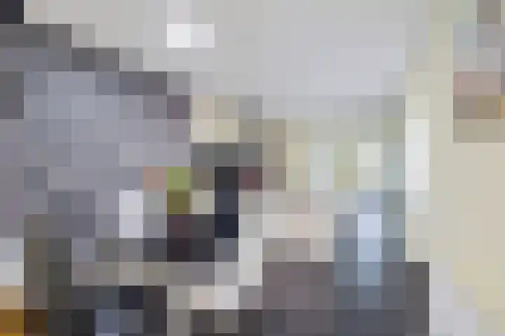 Heidelaan 4 Emmen thumbnail 14