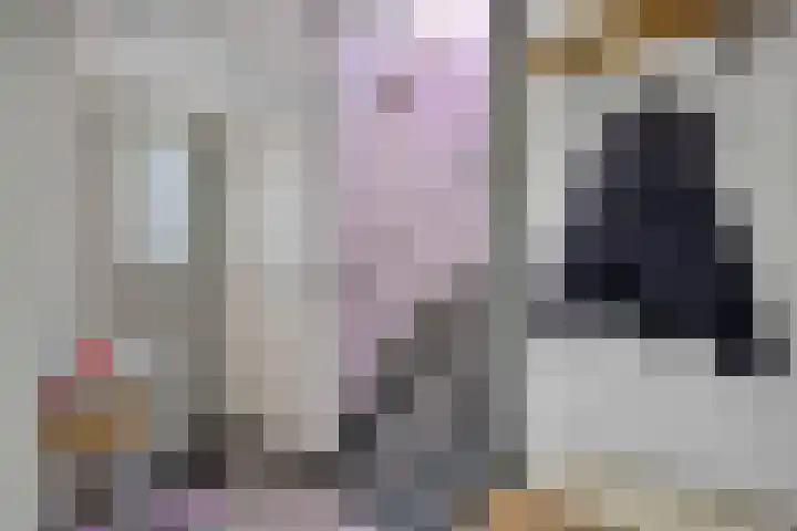 Heidelaan 4 Emmen thumbnail 20
