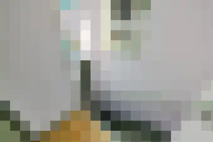 Heidelaan 4 Emmen thumbnail 21